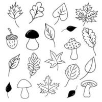hojas de otoño, setas y bellotas en estilo doodle. vector