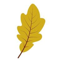 Hand drawn autumn oak leaf vector