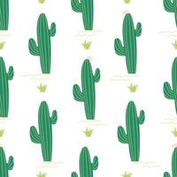 Seamless vector cactus pattern. Hand drawn illustration.