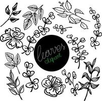 Conjunto de hojas de doodle floral, aislar sobre fondo blanco. vector