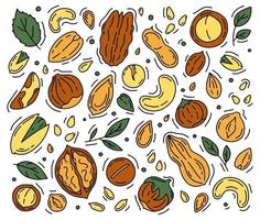 Nuts and Seeds set of icons in the Doodle style. vector
