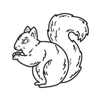 Sketch illustration of a squirrel with a nut vector