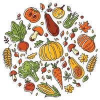 Conjunto circular de verduras y setas para la cosecha de otoño. vector