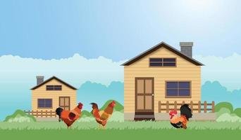 pollo en la granja y la casa del granjero, diseño vectorial. vector