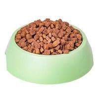 Dog food isolated on white. Dry pet food in a plate