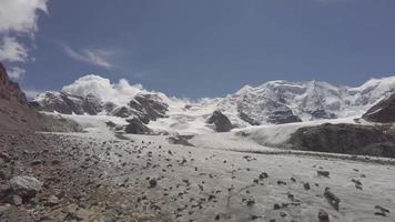 gletsjers op de zwitserse alpen in de zomer video