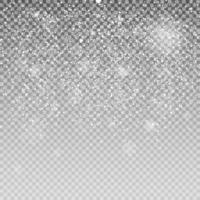 Falling Shining Snowflakes vector