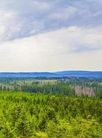 Forest dead fir trees at Brocken mountain peak Harz Germany photo