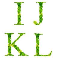 Vector alphabet letters made from spring green leaves.