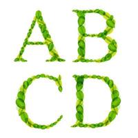 Vector alphabet letters made from spring green leaves.