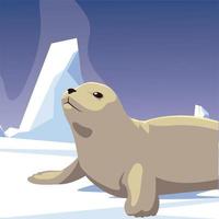 seal animal resting iceberg north pole character vector