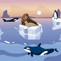 Morsa y pingüino en iceberg ballenas orcas en el mar