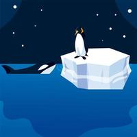 Orca y pingüino en el iceberg, la vida silvestre del polo norte vector