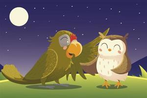 cartoon animals parrot and owl night nature vector