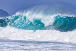 North Shore Beach Honolulu Hawaii photo