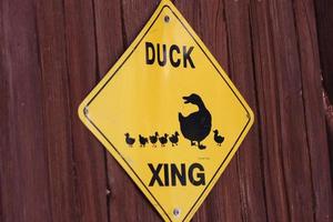 Sign of duck crossing photo
