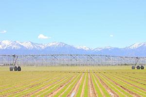 Watering nozzles and mountains in the suburbs of Los Angeles, USA photo