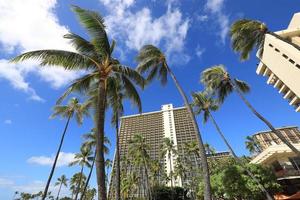 Hoteles de lujo y palmeras en la playa de Waikiki, Hawaii foto