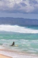 Surfers at the North Shore of Hawaii