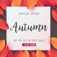 Autumn sale poster banner template vector