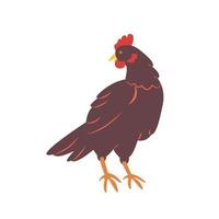 Hen in flat style. Rural poultry. Vector illustration isolated