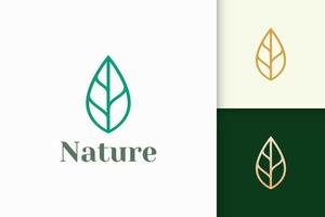 Leaf logo in simple line shape for beauty and health brand vector