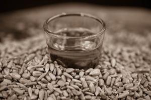 Sunflower seeds on olive wood photo