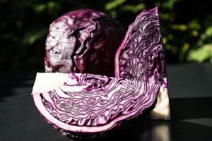 Sliced red cabbage Brassica oleracea photo