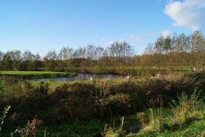 The bog of Ruebke nature reserve photo