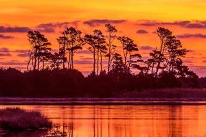 Before Sunrise in Assateague National Park photo