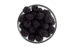 Blackberry in a glass bowl on a white background isolate photo