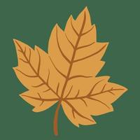 Simplicity maple leaf freehand drawing flat design. vector