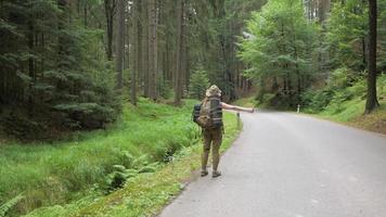 Joven viajero autostopista solo en el camino forestal video