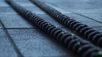 close up of black battle ropes on the ground video