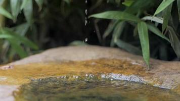 Japanese botanical zen garden with water drops and stones video