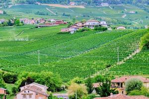 típica granja de viñedos en la región montañosa de langhe, italia. sitio de la unesco