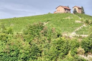 Vinery farm surrounded by vineyards, in the region of Langhe, Italy. photo