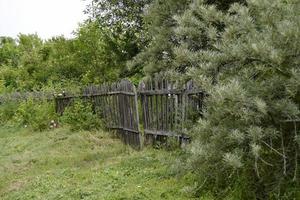 Old gate of an abandoned house photo