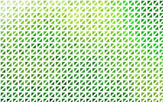 Light Green vector pattern in polygonal style.