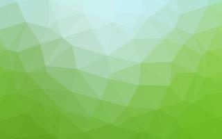 Light Green vector polygonal template.