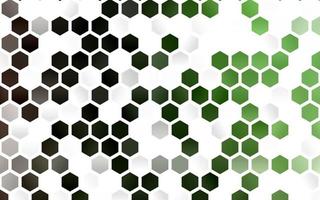 Telón de fondo de vector verde claro con hexágonos.