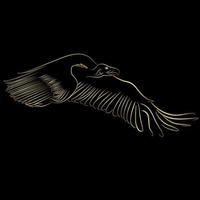 Golden border Cinereous Vulture flying over black background vector