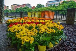 Flower Festival in Girona Temps de Flors, Spain. 2018 photo