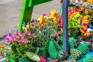 Flower Festival in Girona Temps de Flors, Spain. 2018 photo