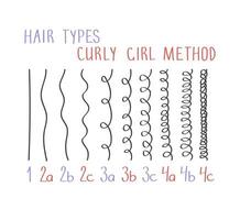 Hair types with all curl types labeled. Curly girl method concept vector