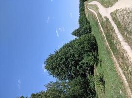 Green trees on green grass field under blue sky photo