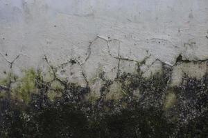 Old wall texture photo