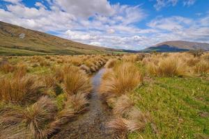 Stream flowing though a Mountain Meadow photo