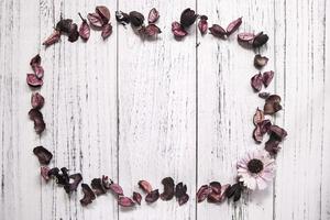 Dried petals on white wood photo