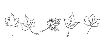 Continuous line drawing of maple leaves hand drawn set vector